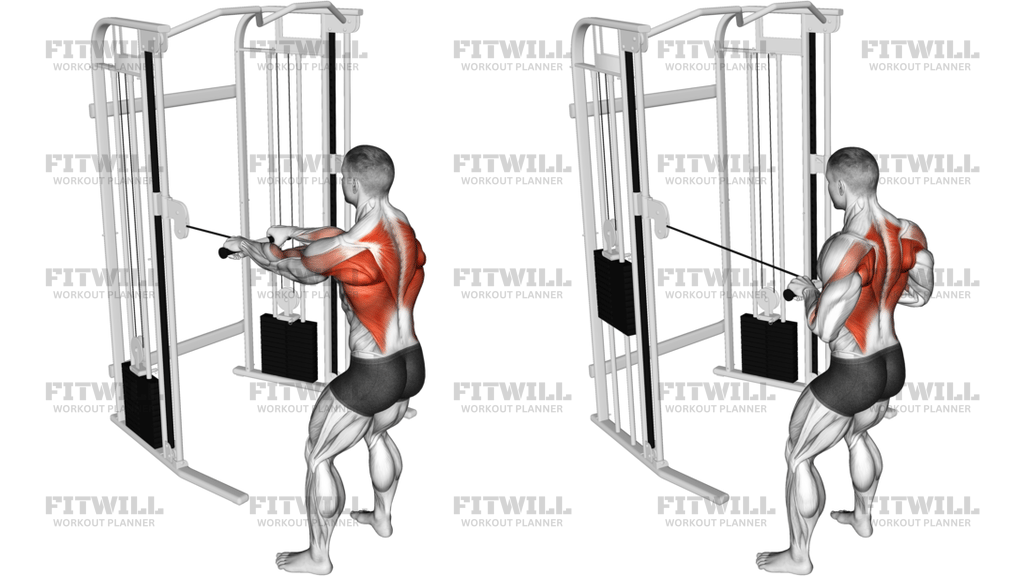 Cable Standing Close-Grip Row