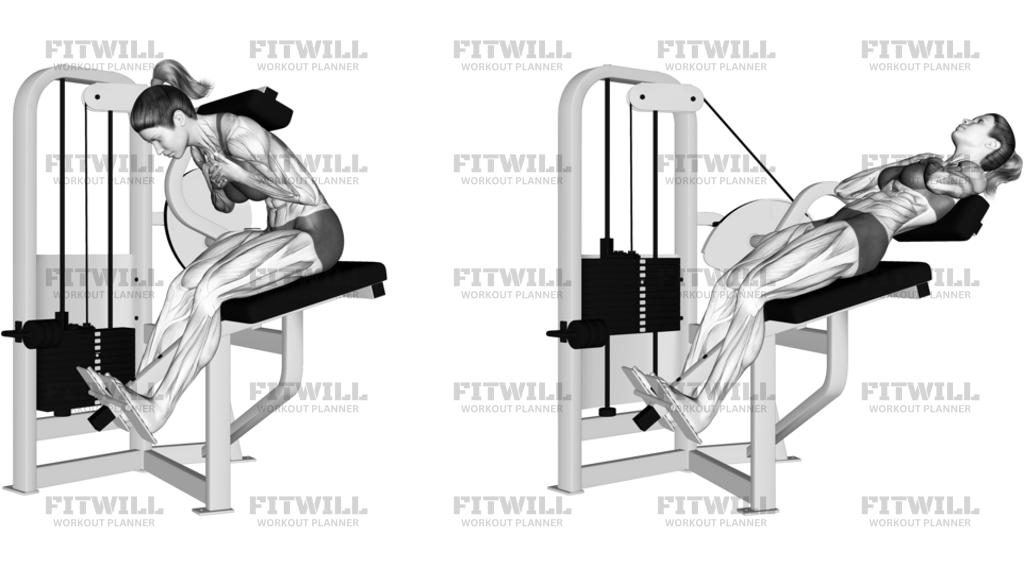 Lever Back Extension Version 2