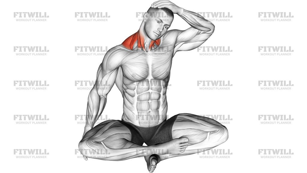 Seated Neck Side Stretch