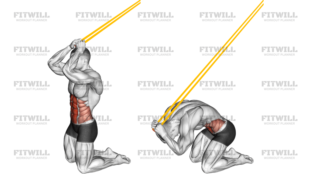 Abdominal Crunch Ajoelhado Com Elástico