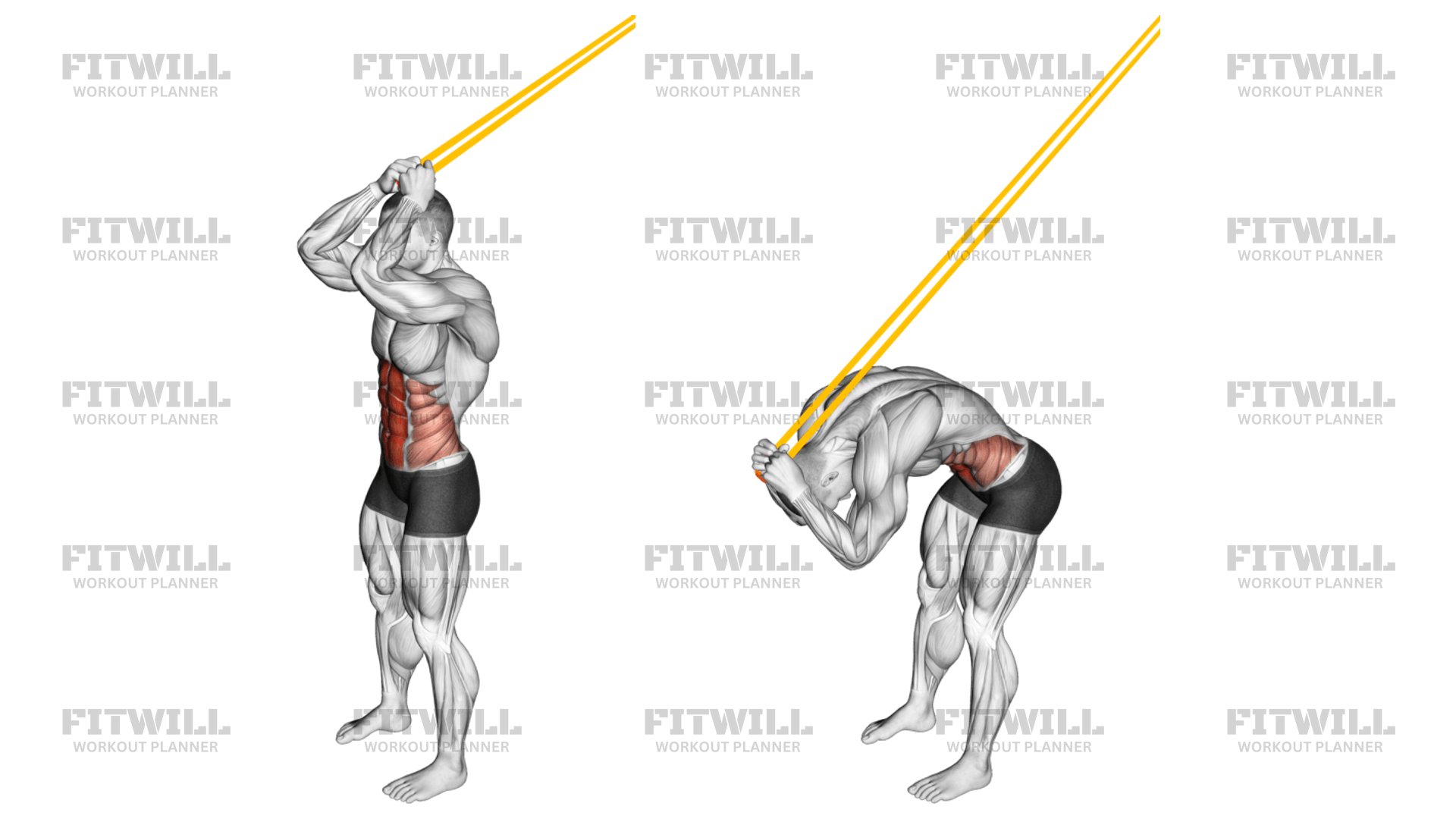 How to do Resistance Band Standing Ab Crunch Techniques, Benefits