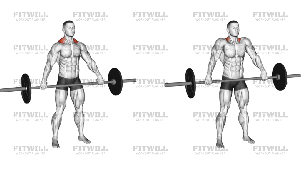 Barbell Wide Shrug