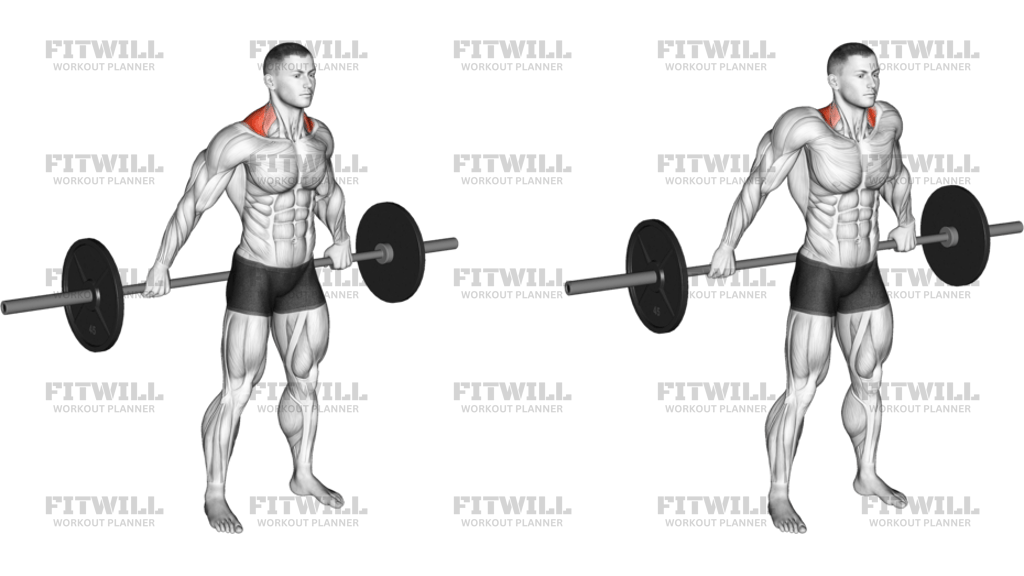 Barbell Back Wide Shrug