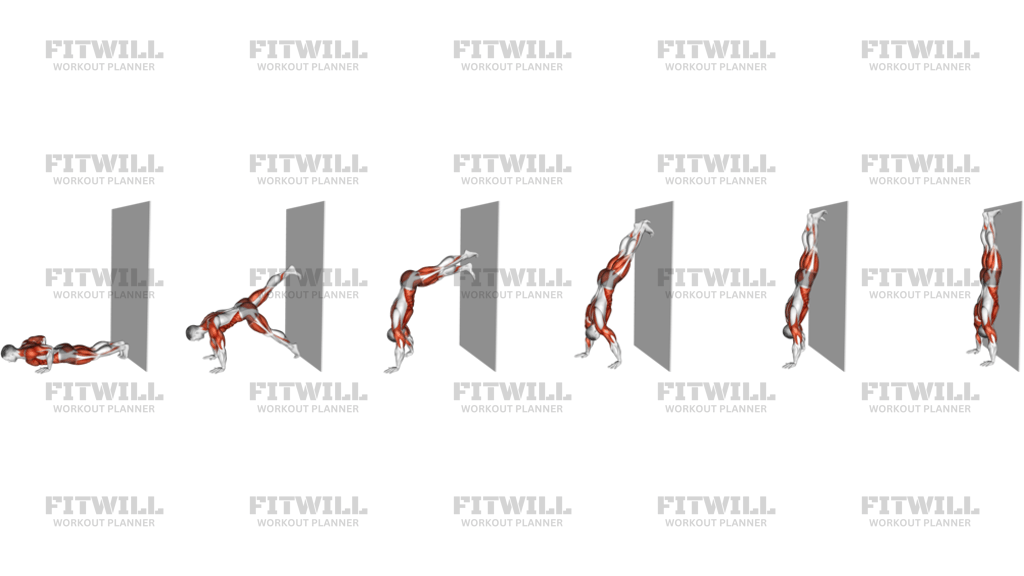 Wall Walks