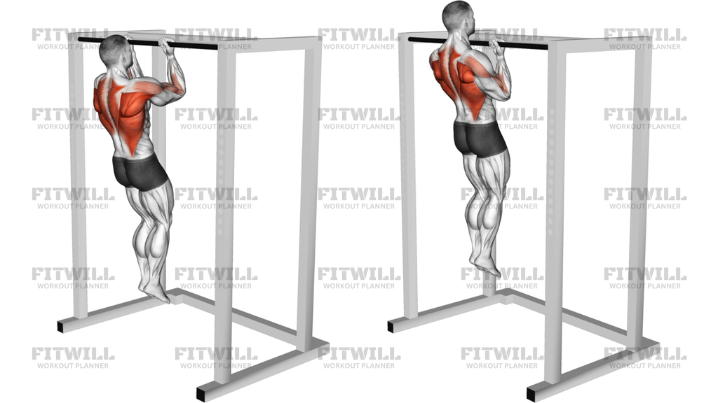 Bent Arms Chin-Up