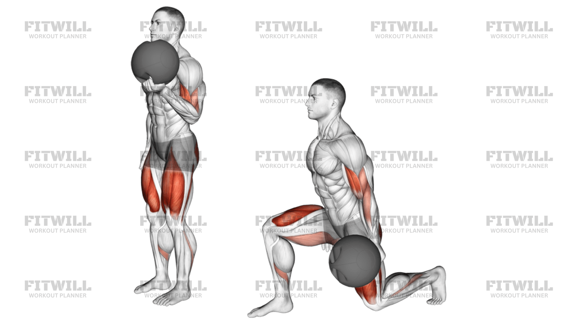 Medicine Ball Lunge With Biceps Curl Exercise Video Fitwill