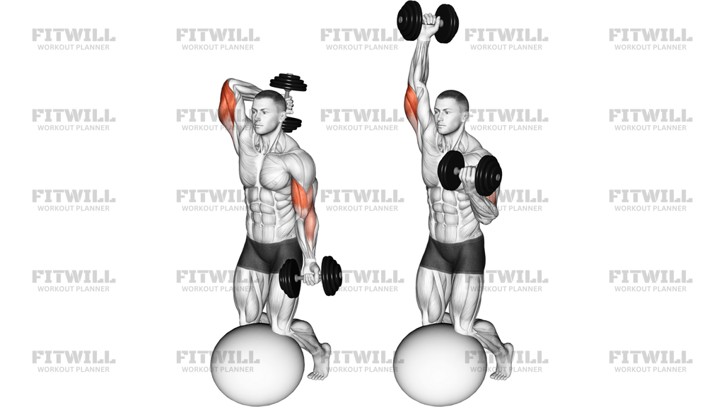 Dumbbell Biceps Curl With Overhead Extension On Stability Ball
