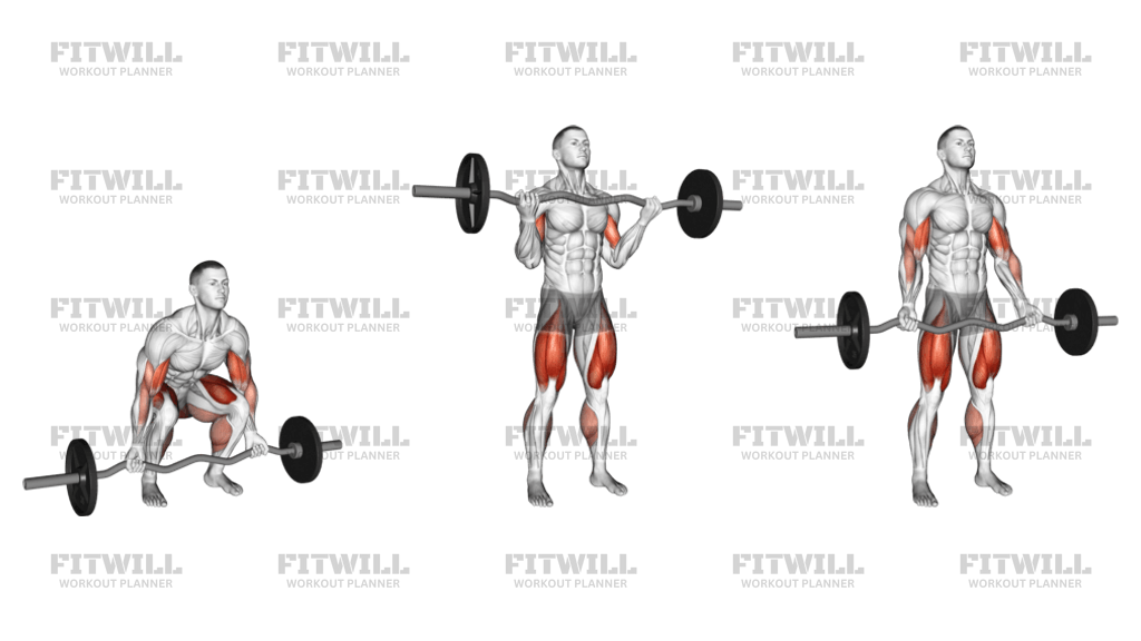 Deadlift with curl bar sale