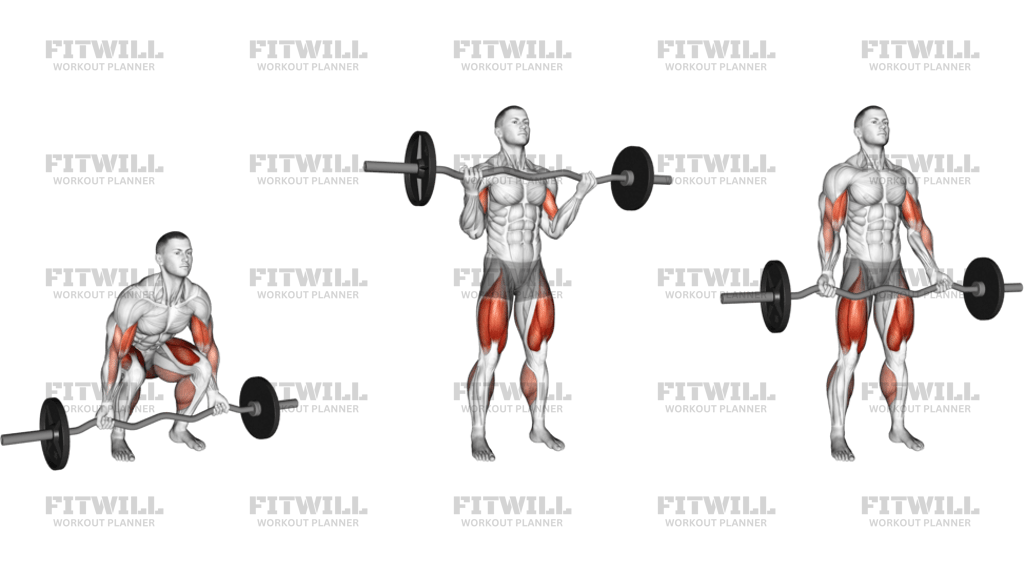 EZ Bar Deadlift With Biceps Curl