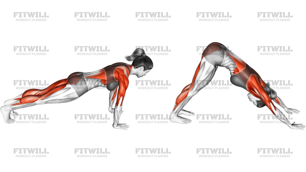 Downward Facing Dog
