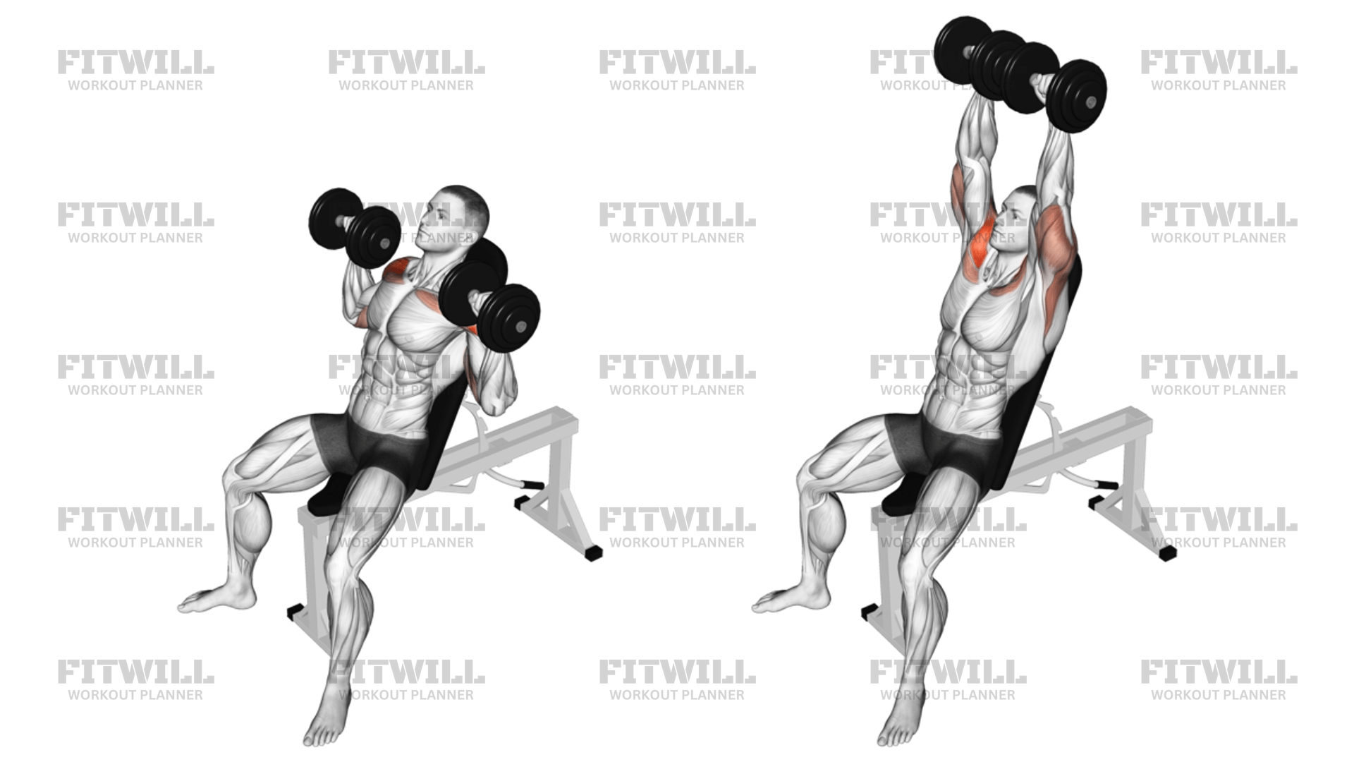 How to do Dumbbell Incline Shoulders Press: Techniques, Benefits, Tips ...