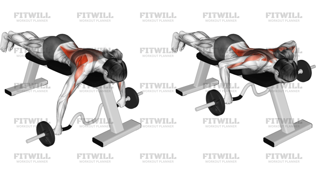 Cambered Bar Lying Row
