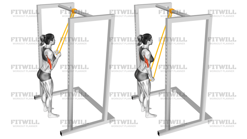 Resistance Band Triceps Pushdown: Exercise Guide, Video, Techniques ...