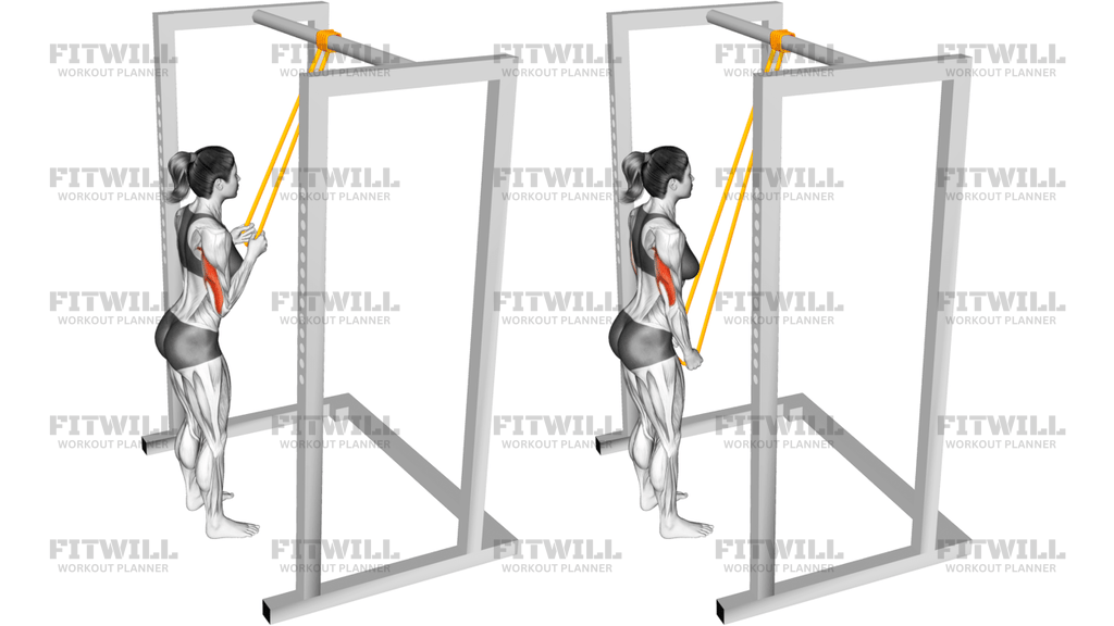 Resistance Band Triceps Pushdown