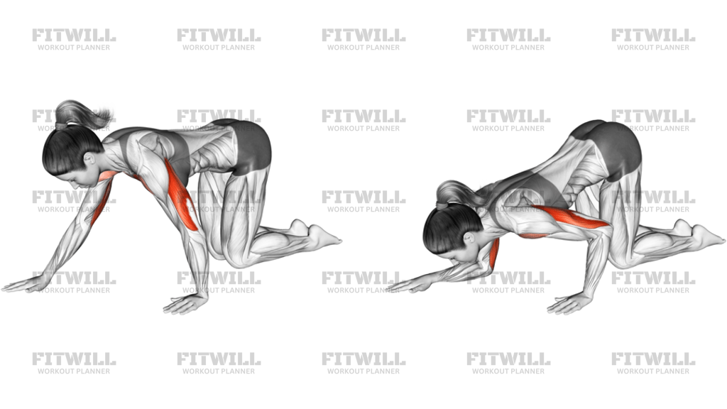 Kneeling Staggered Push-Up