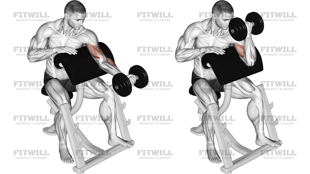 Kurzhantel-Preacher-Curl Mit Gedrehtem Oberkörper