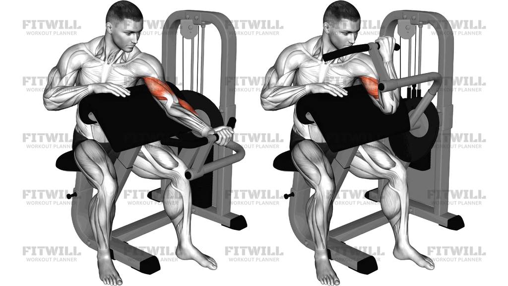 Lever Preacher Curl Turned Torso