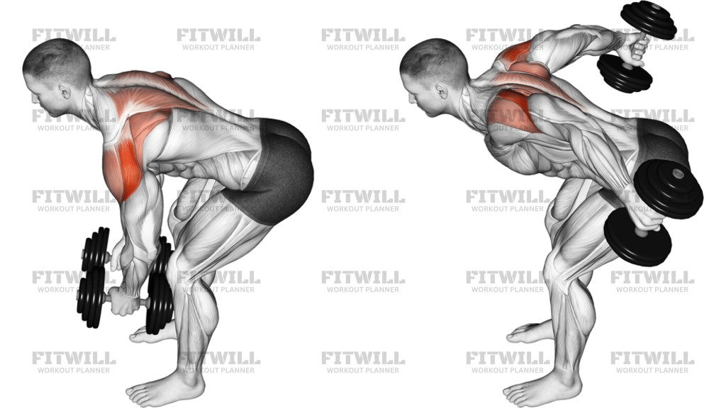 Dumbbell Rear Delt Fly 45 Degrees