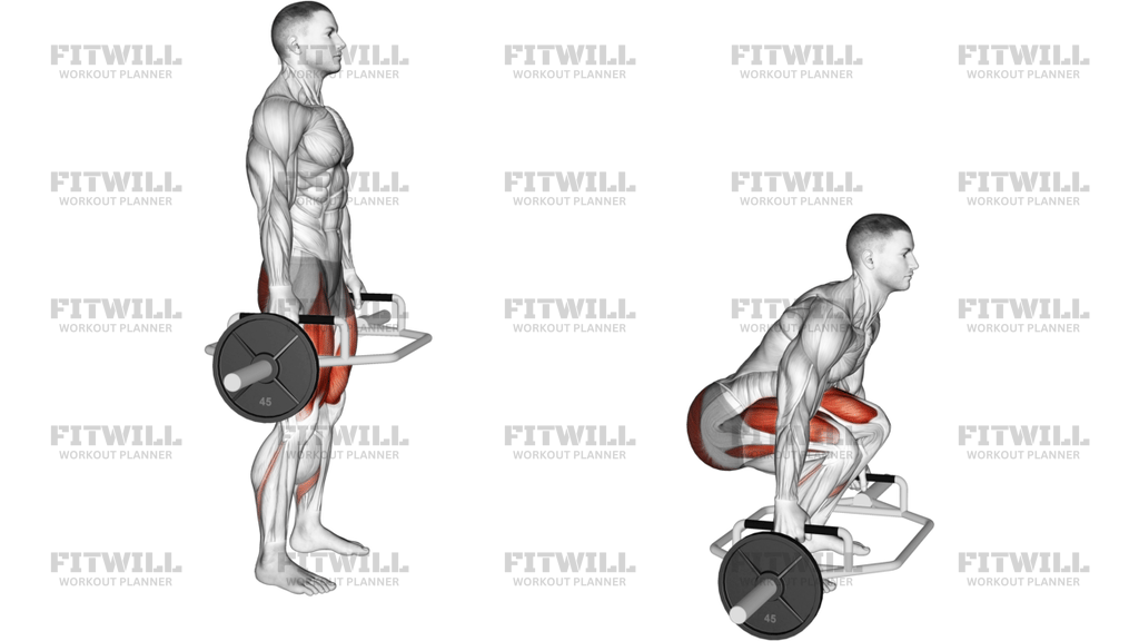 Trap Bar Squat