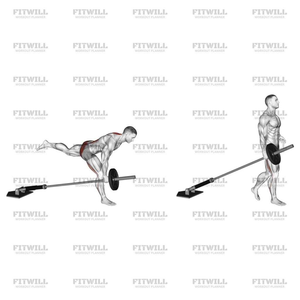 Landmine One Leg Stiff Leg Deadlift: Exercise Guide, Video, Techniques ...