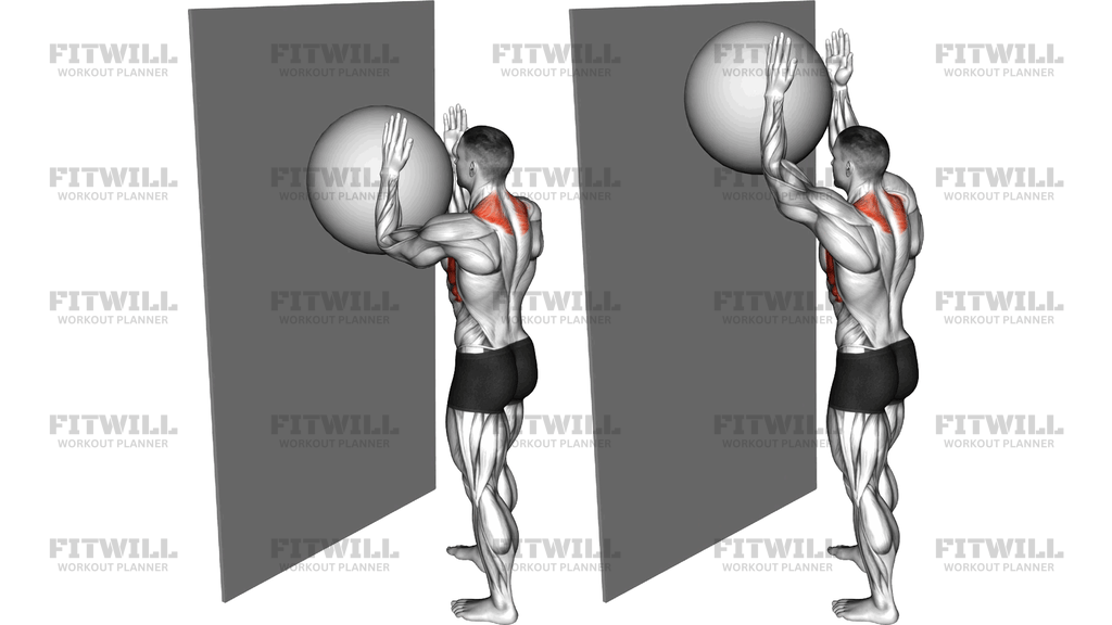 Exercise Ball Serratus Wall Slide