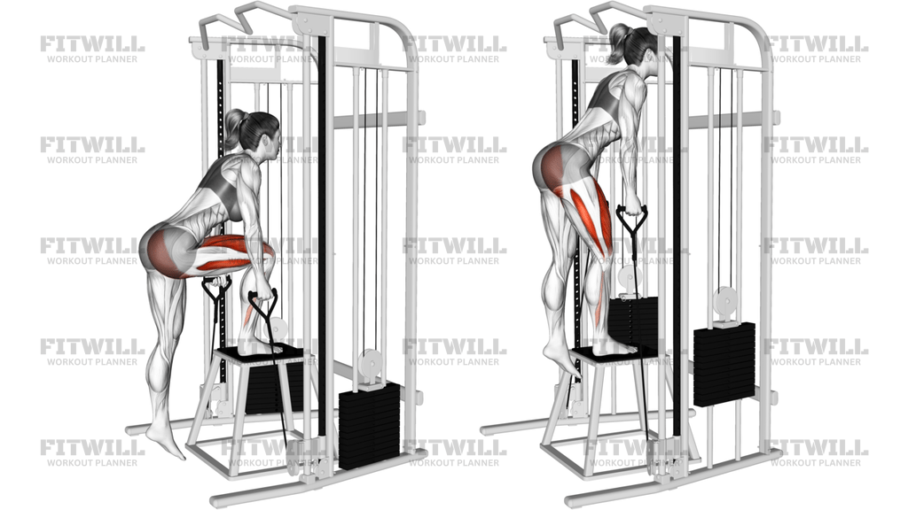 Cable Glute Dominant Step-Up