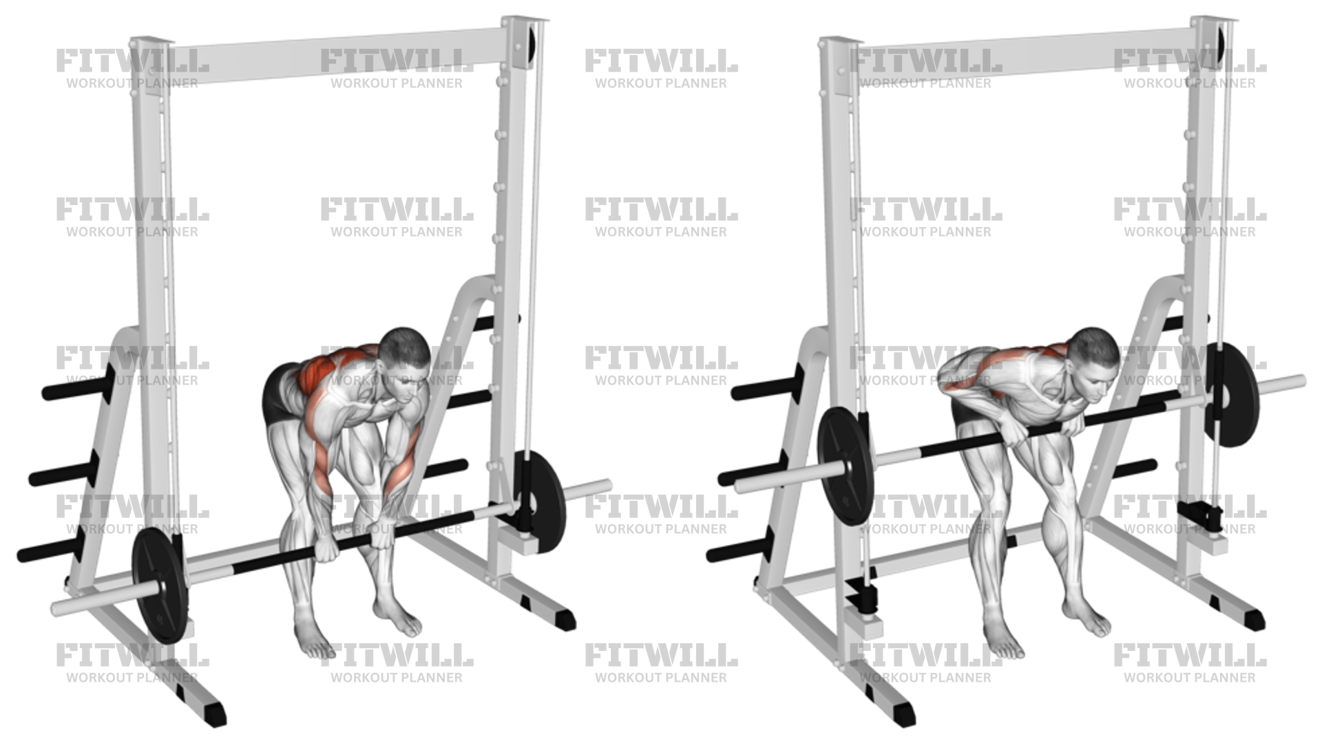 Smith Bent-Over Narrow Pronated Grip Row: Exercise Guide