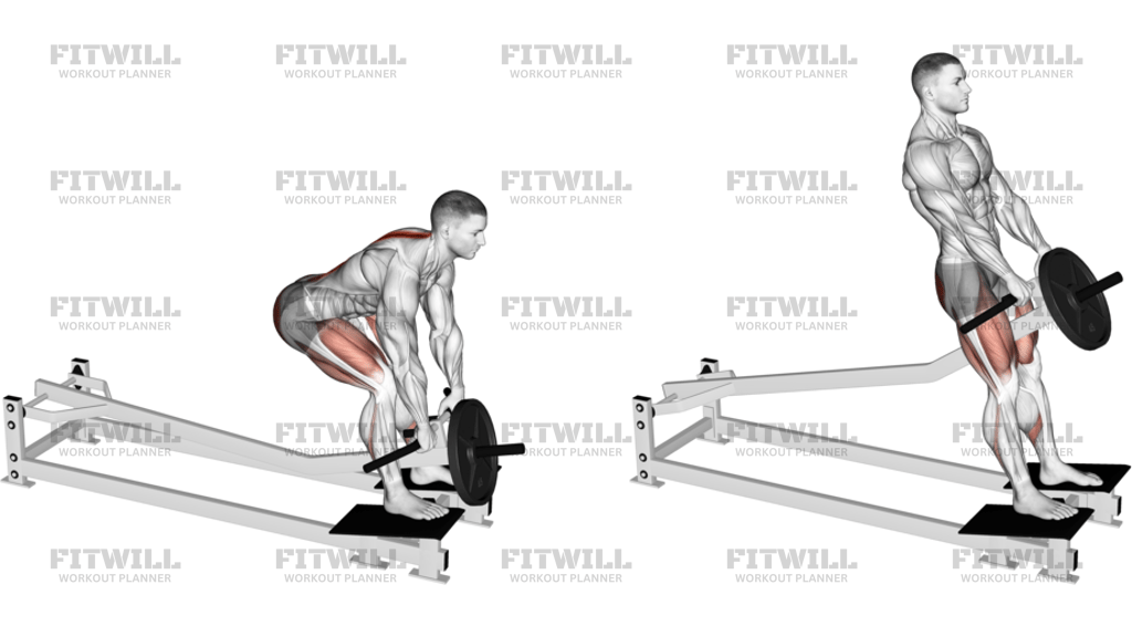 Lever T-Bar Romanian Deadlift