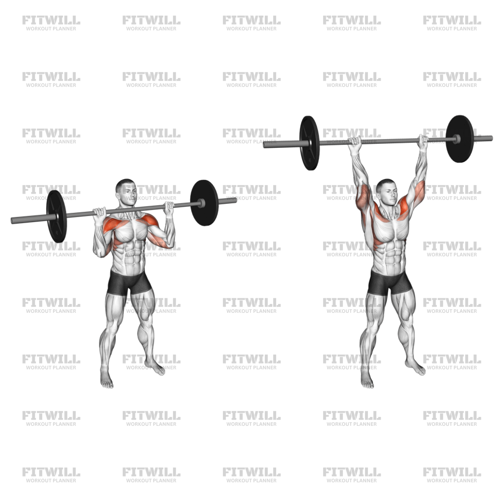 Weider ショルダープレス バーベル・スタンディング・ショルダープレス: エクササイズガイド