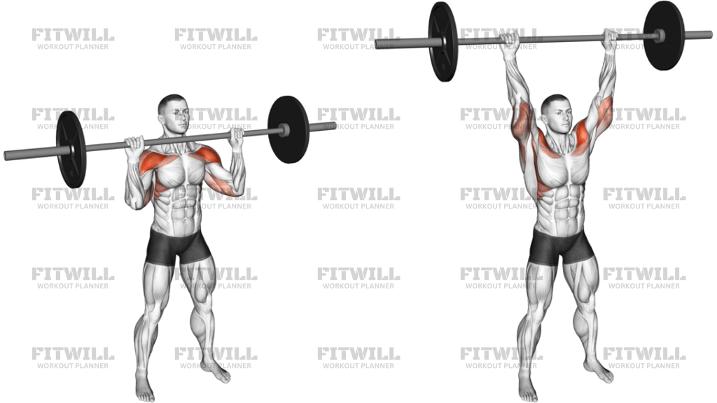 Barbell Standing Shoulders Press