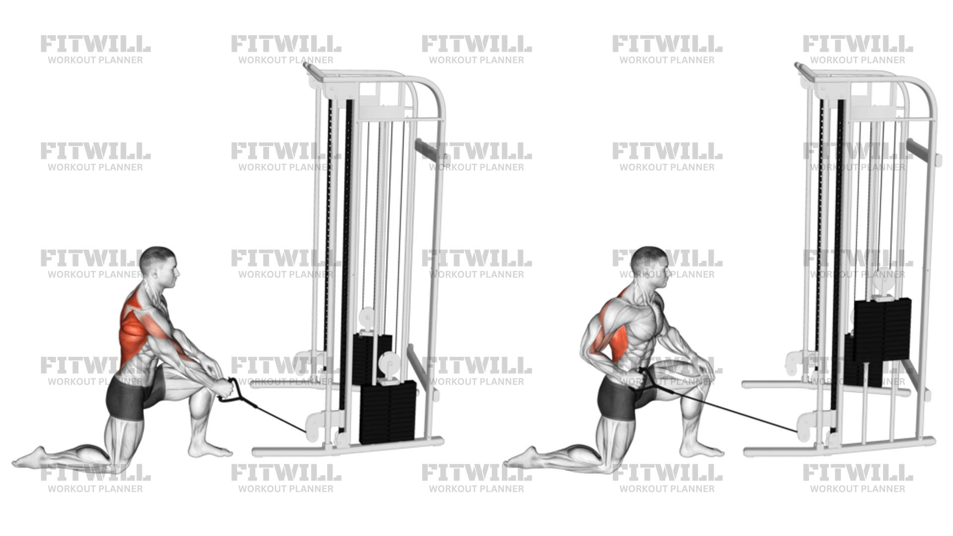 Cable Kneeling One Arm Row Exercise Guide Techniques Benefits How to Muscles Worked Tips Tricks Fitwill