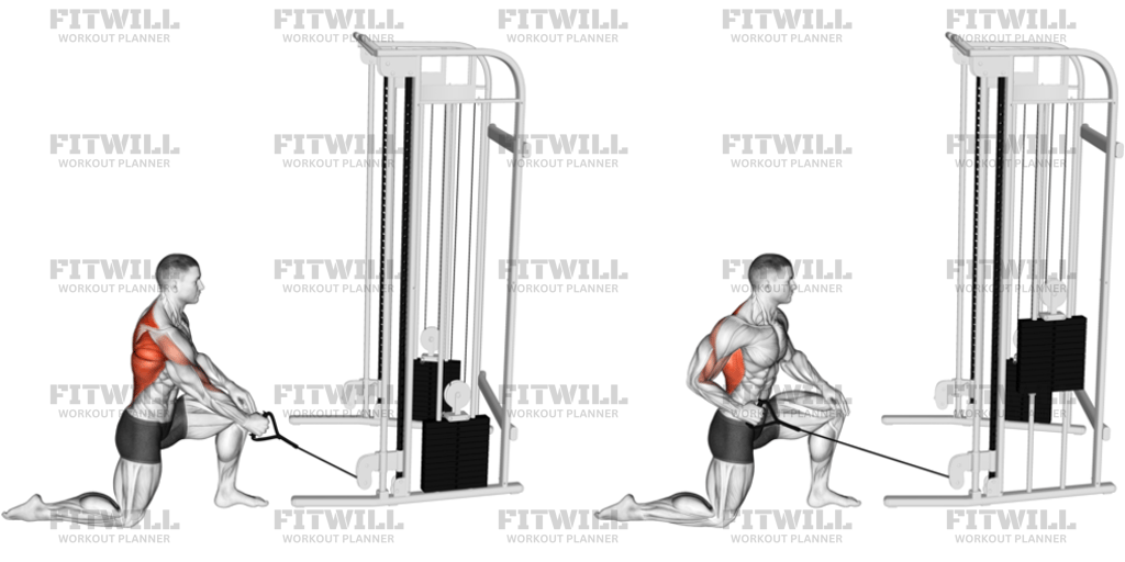 Cable Kneeling One-Arm Row: Exercise Guide, Techniques, Benefits, How ...