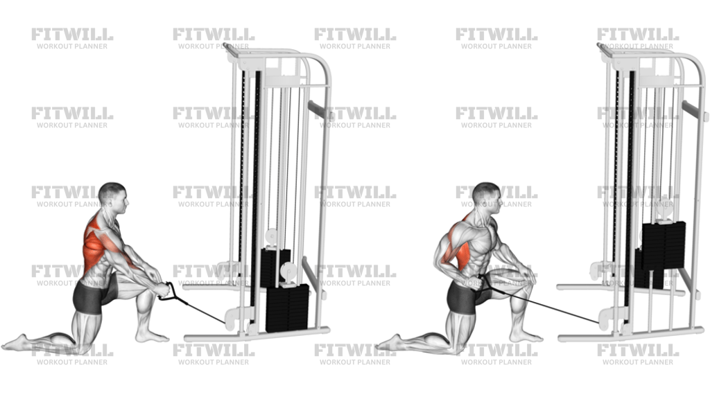 Cable Kneeling One-Arm Row: Exercise Guide, Techniques, Benefits, How ...