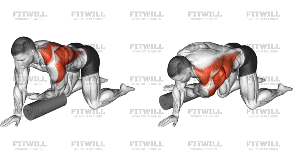Roll Kneeling Upper Back Rotation