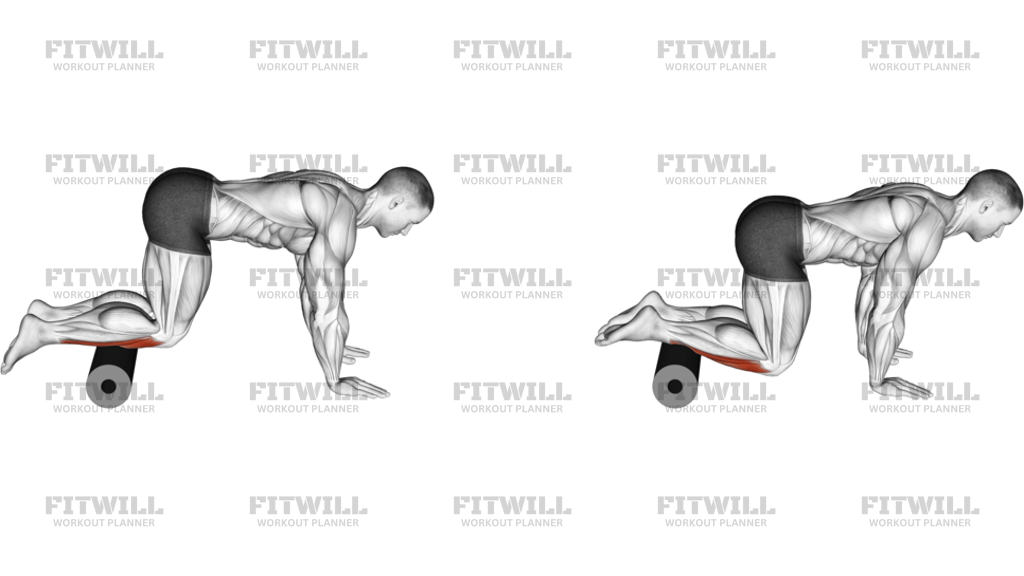 Roll Tibialis Anterior