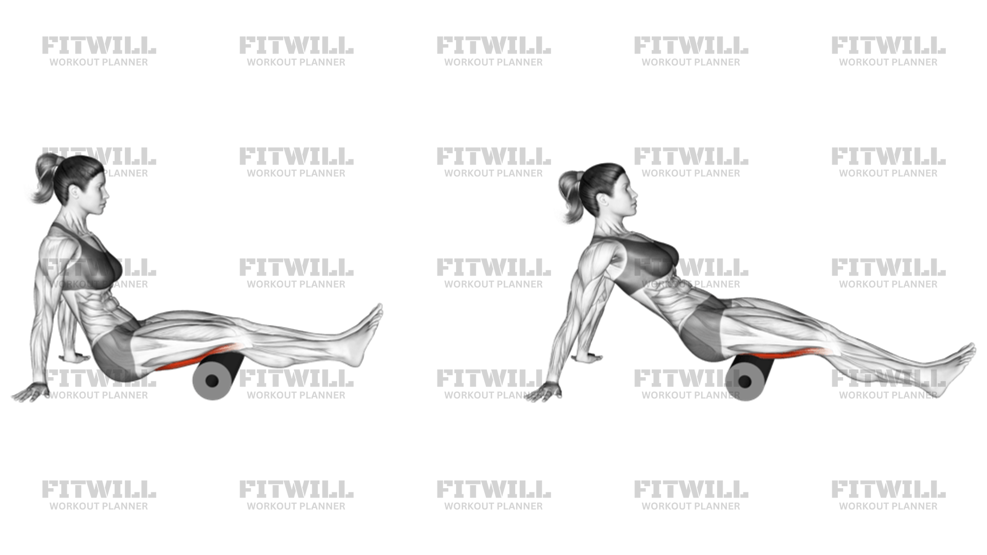 Roll Hamstrings Sitting On Floor: Exercise Guide, Video, Techniques ...