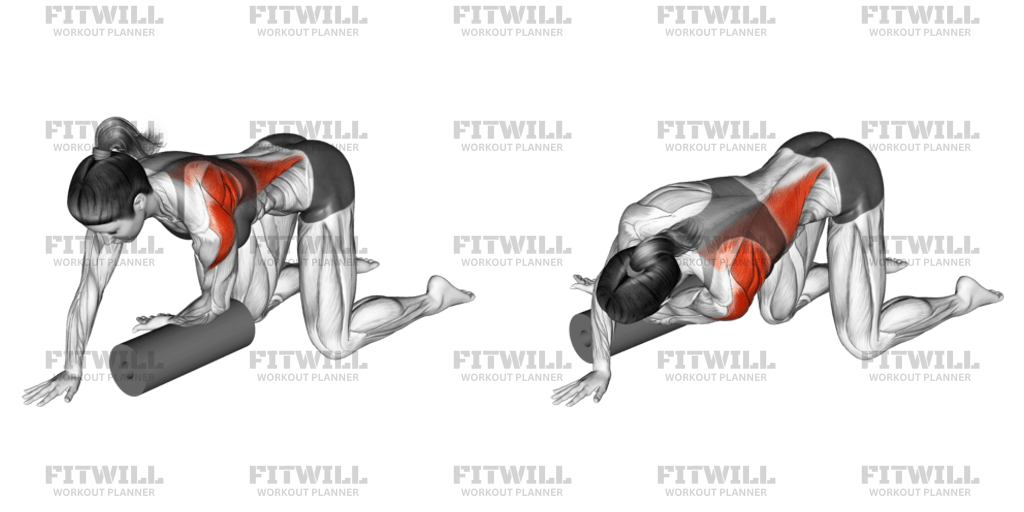 Roll Kneeling Upper Back Rotation: Exercise Guide, Video, Techniques ...