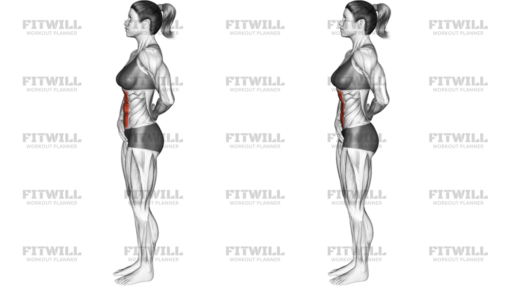 Standing Abdominal Vacuum