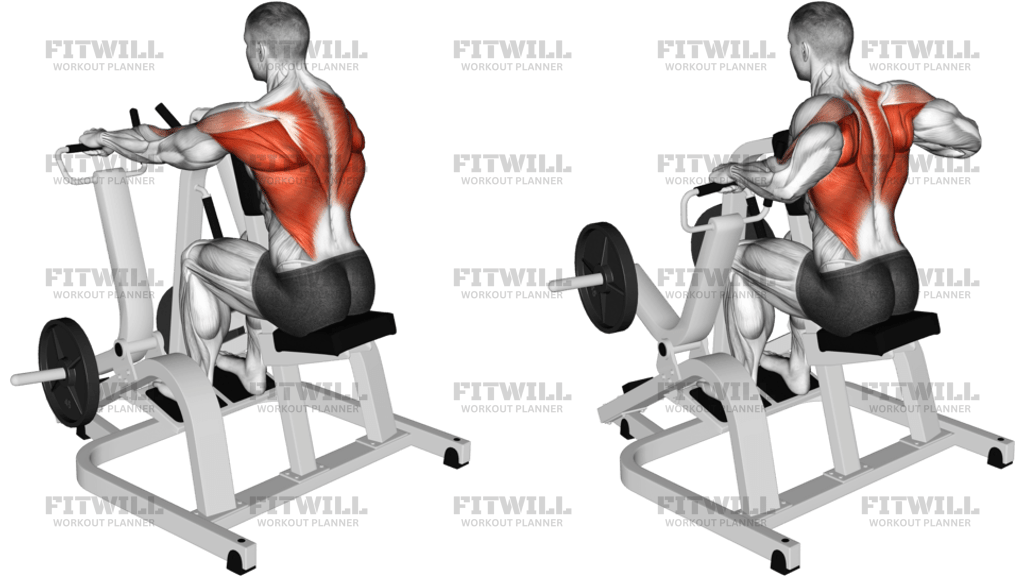 Lever Pronated Grip Seated Row Plate Loaded