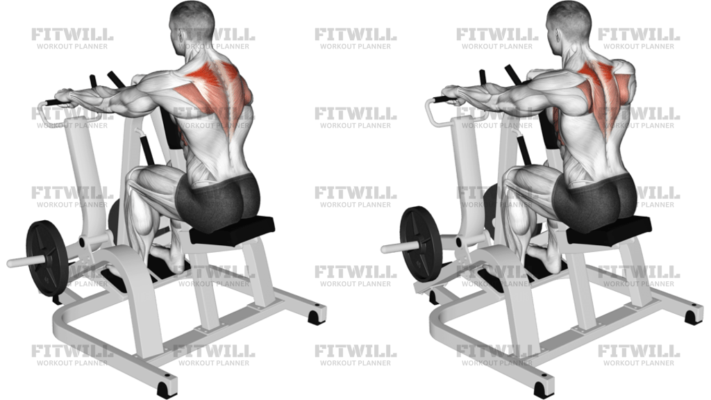 Lever Pronated Grip Seated Scapular Retraction Shrug Plate Loaded