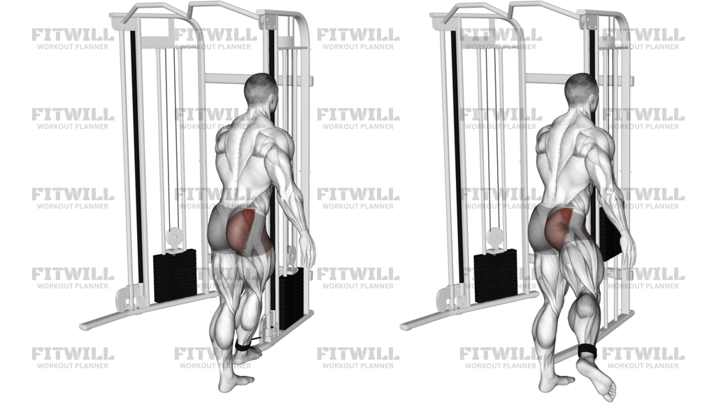 Cable Medius Kickback