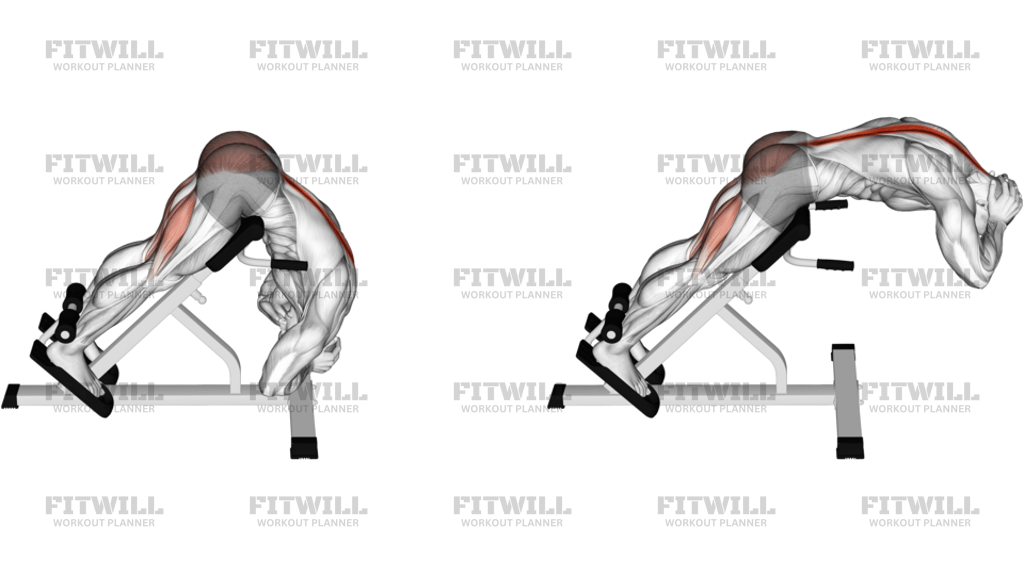 Rounded Back Extension