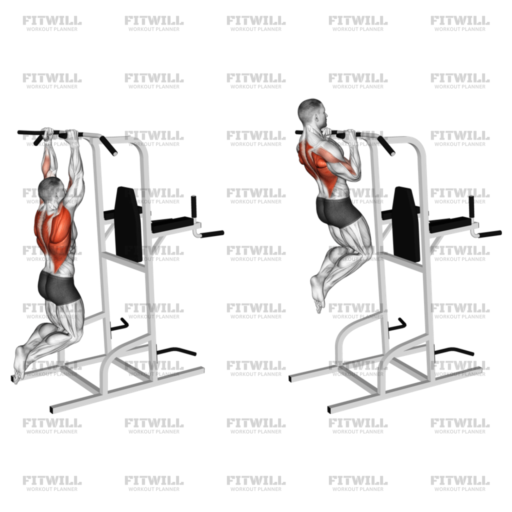 Pull up circuit workout hotsell