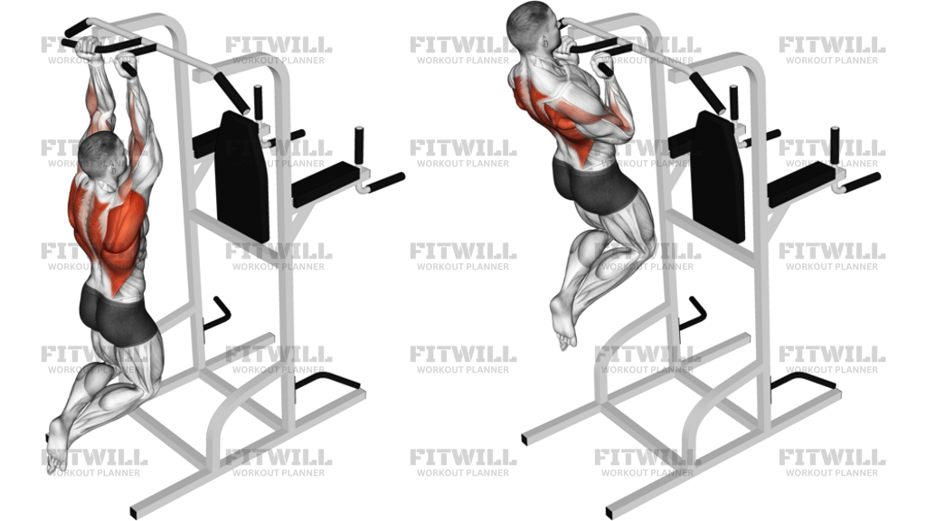 Supinated Narrow-Grip Pull-Up