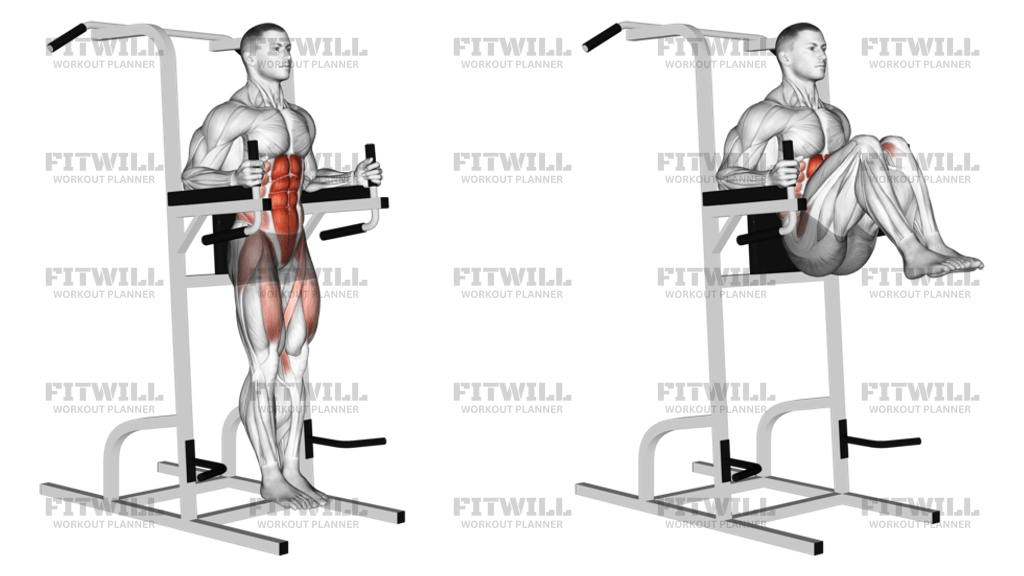 Vertical Leg Raise on Parallel Bars Exercise Guide Techniques Benefits How to Muscles Worked Tips Tricks Fitwill