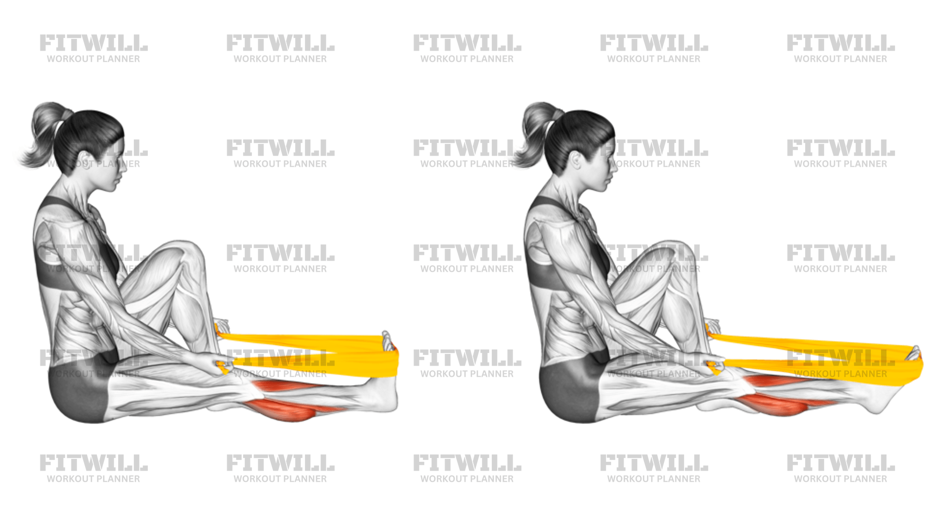 Resistance Band Seated Calf Stretch: Exercise Guide, Techniques ...