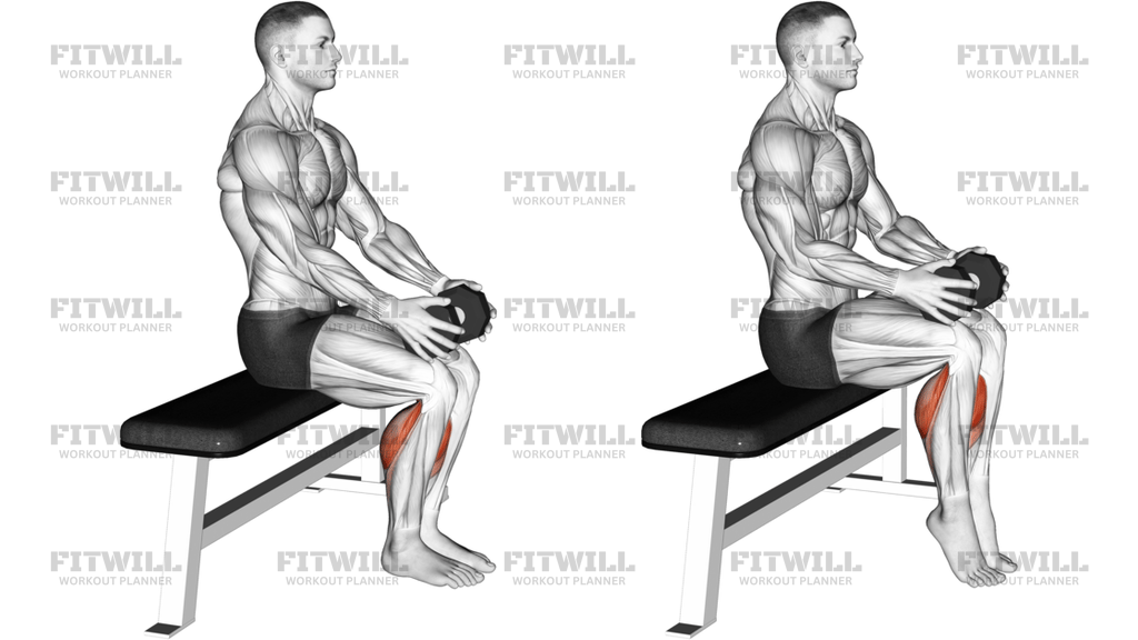 Weighted Seated Calf Raise Version 2