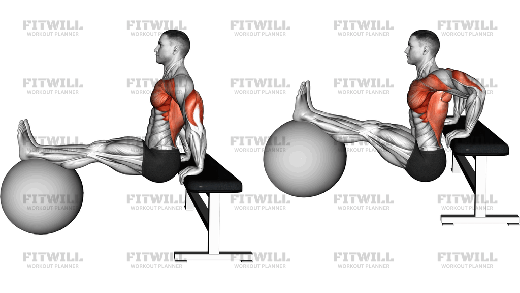 Bench Dip On Stability Ball