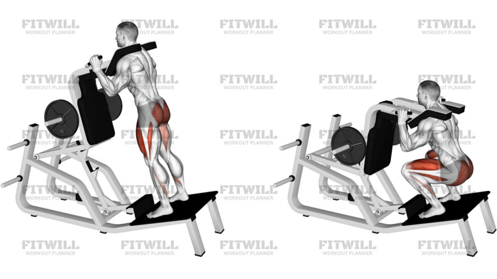 Lever Reverse Vertical Hack Squat