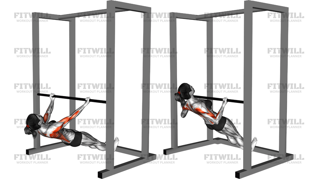 Supinated Grip Inverted Row
